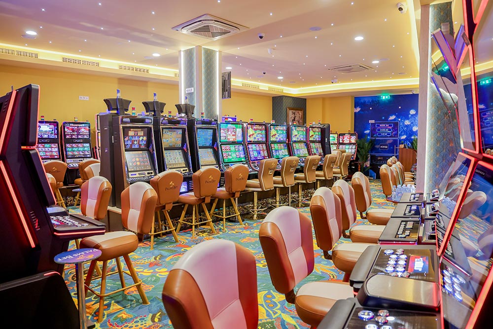 PALMS BET – Младост 1